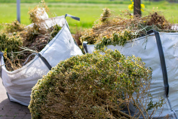 Best Garage Cleanout Services  in Hayden, CO