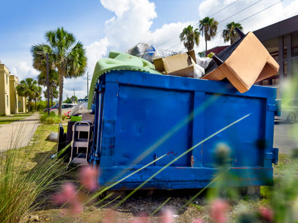 Best Household Junk Removal  in Hayden, CO